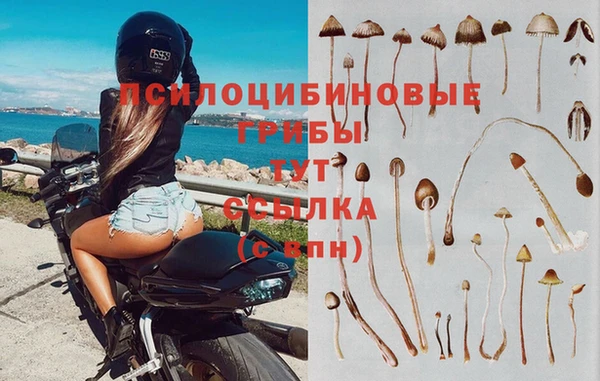 MDMA Аркадак